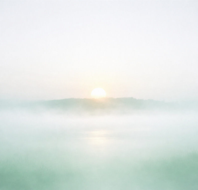 Vision